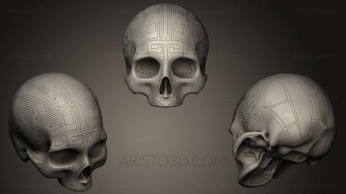 Anatomy of skeletons and skulls (ANTM_0154) 3D model for CNC machine